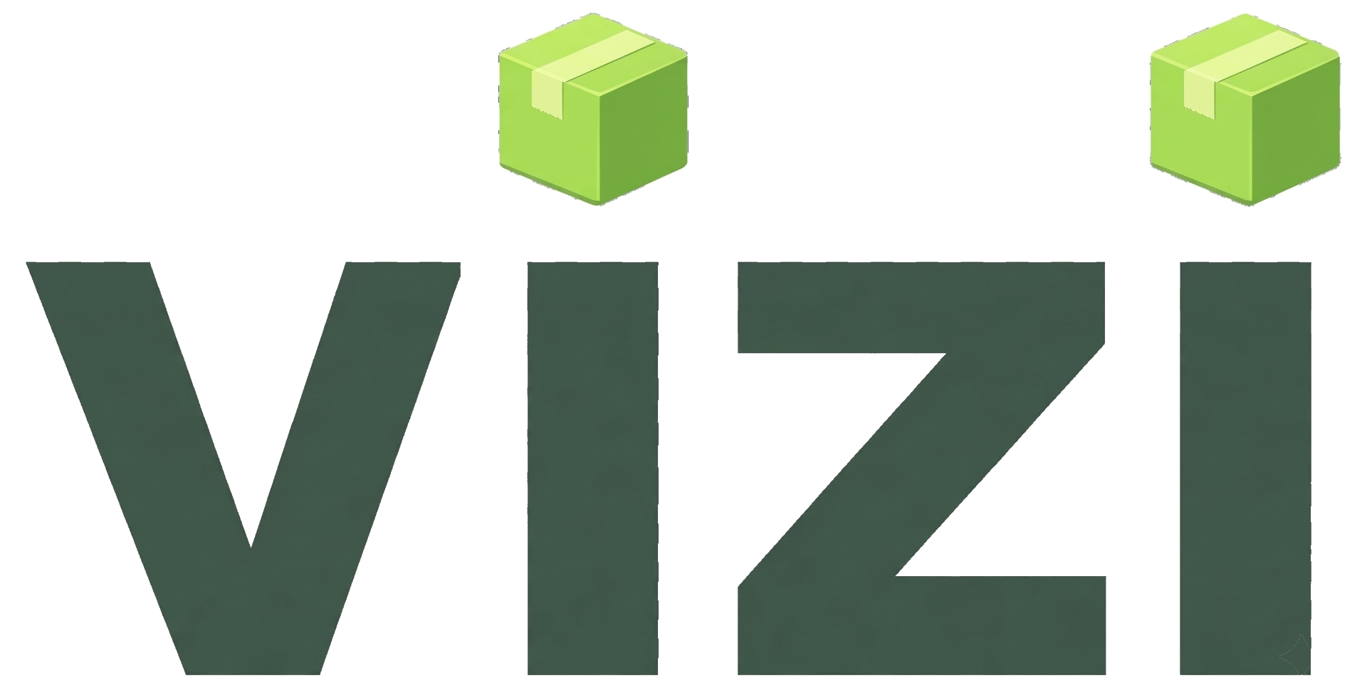 Vizi
